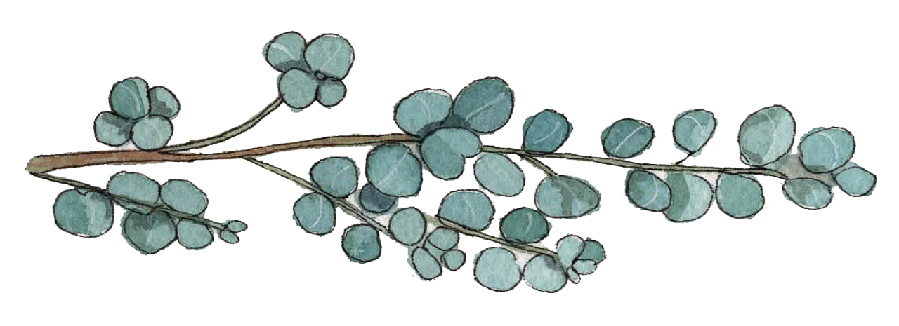 Leaves illustration